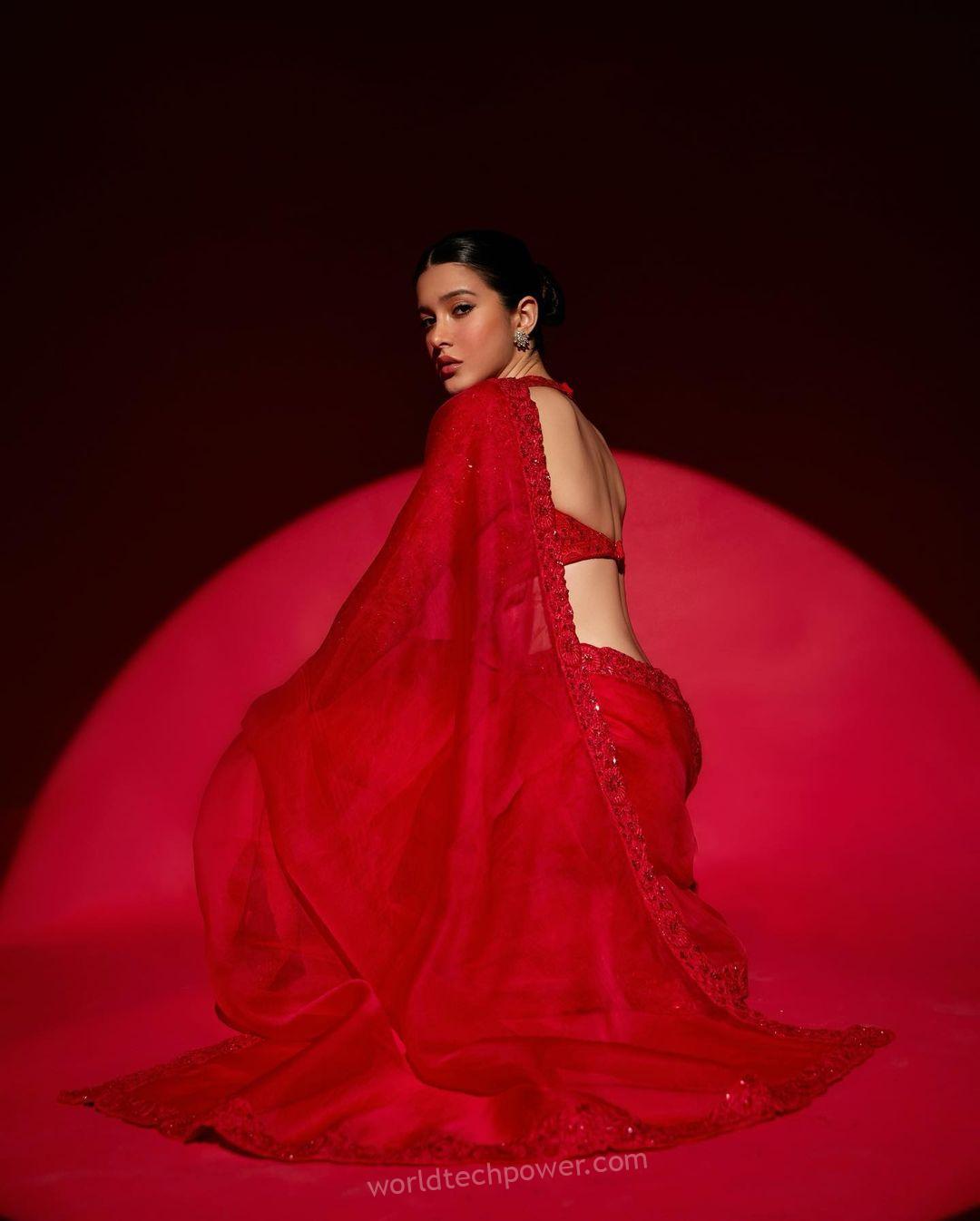 Shanaya Kapoor red saree