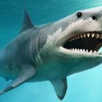 Sharksnado – Why Sharksnado is the Good Film to Watch on a wet day? – World Tech Power