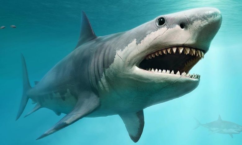 Sharksnado – Why Sharksnado is the Good Film to Watch on a wet day? – World Tech Power
