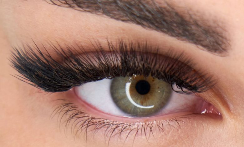How Long Do Individual Lashes Really Last – How Lengthy Do Particular person Lashes Actually Final? A Information for Lash Artists – World Tech Power