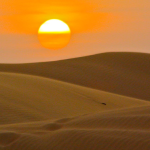 Untitled design 87 – Desert Magnificence: Dubai's Unforgettable Safari Escapade – World Tech Power