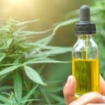 cannabis wellness90 – A Information to Advantages and High Picks – World Tech Power